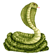 Tuberia de agua fria nombres
