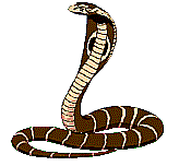 Serpiente Cobra