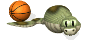Serpiente con Balon