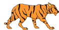 tigre animado