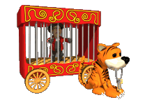 Tigre