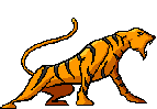 Tigre