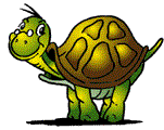 Tortuga