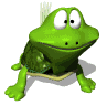 Tortuga 3D