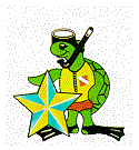Tortuga
