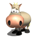  Vaca