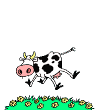 Gif Vaca