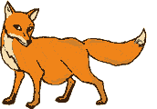 Zorro