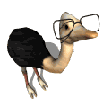 Gif avestruz