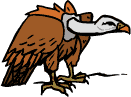 Gif Buitre