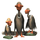 Familia de Buitres