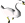 cisne