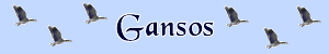 Gifs de Gansos