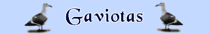 Gifs de Gaviotas