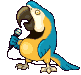 Lorito