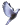 Paloma