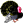 Pavo