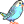 Periquito