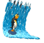 Pingüino surfeando