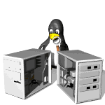 Pinguino con Ordenadores