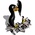 Pinguino 