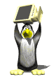 Pinguino Loco
