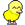 Pollo