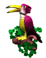 Tucan