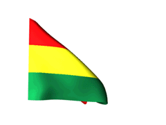 Resultado de imagen para gif bandera bolivia