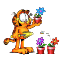 Garfield