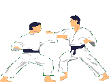 Gif karate