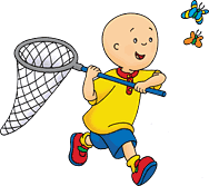 Caillou