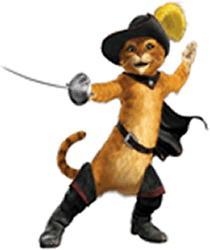 Don Gato