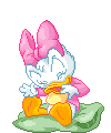 Baby Daisy