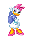Daisy