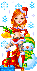 Fiesta de Navidad