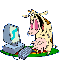 Vaca en el xat