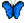 Mariposa