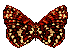 Mariposa
