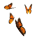 Mariposas