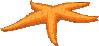 Estrella de Mar
