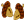 Bellota