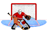 Portero Hockey