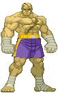 sfsagat