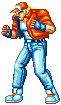 Street Fighter