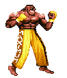 Street Fighter