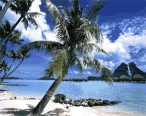 orilla de playa