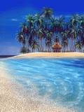 playa tropical
