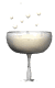 champagne