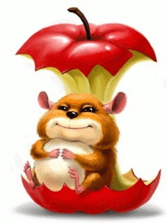 manzana